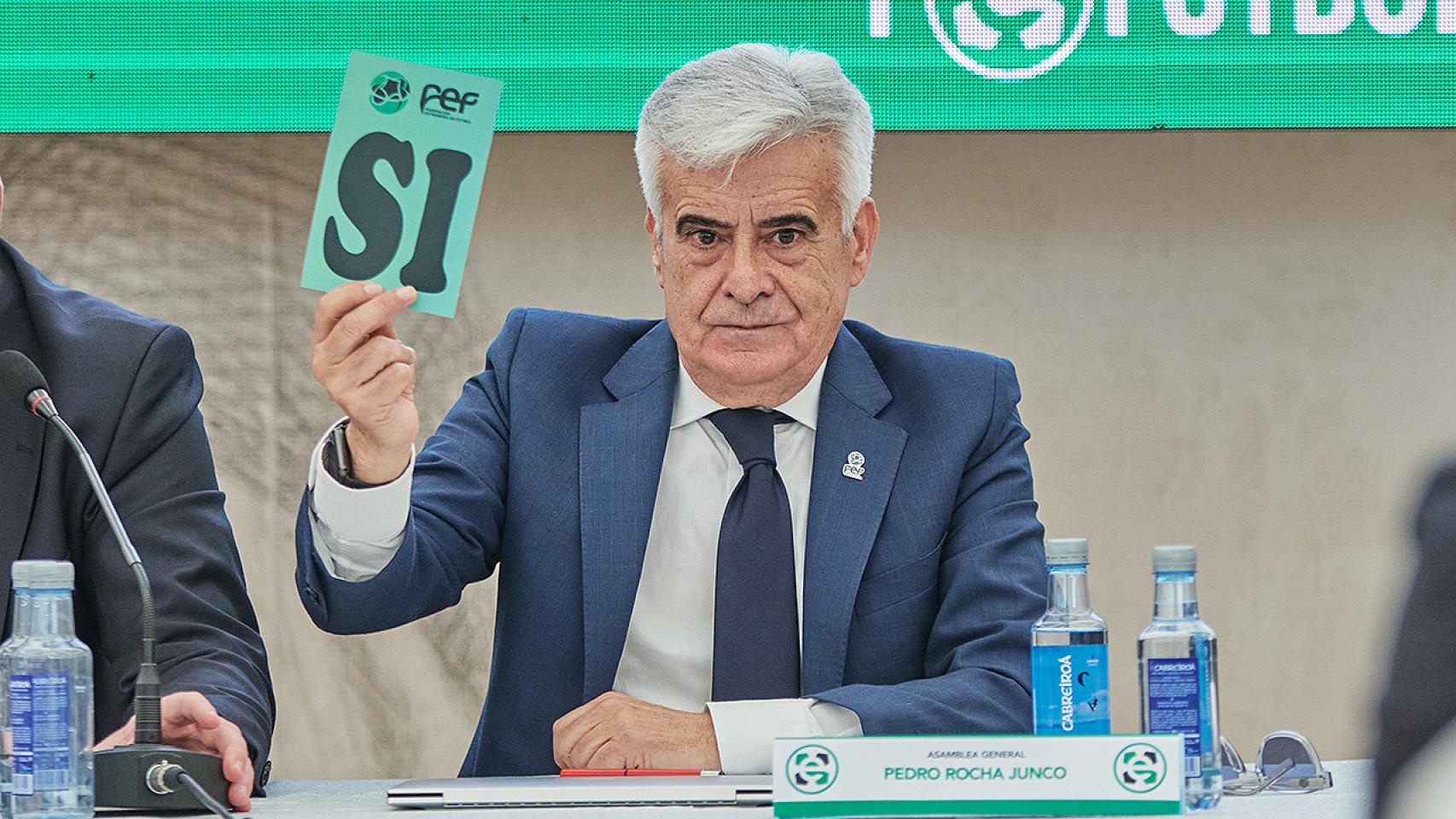 Pedro Rocha, nuevo presidente de la RFEF.