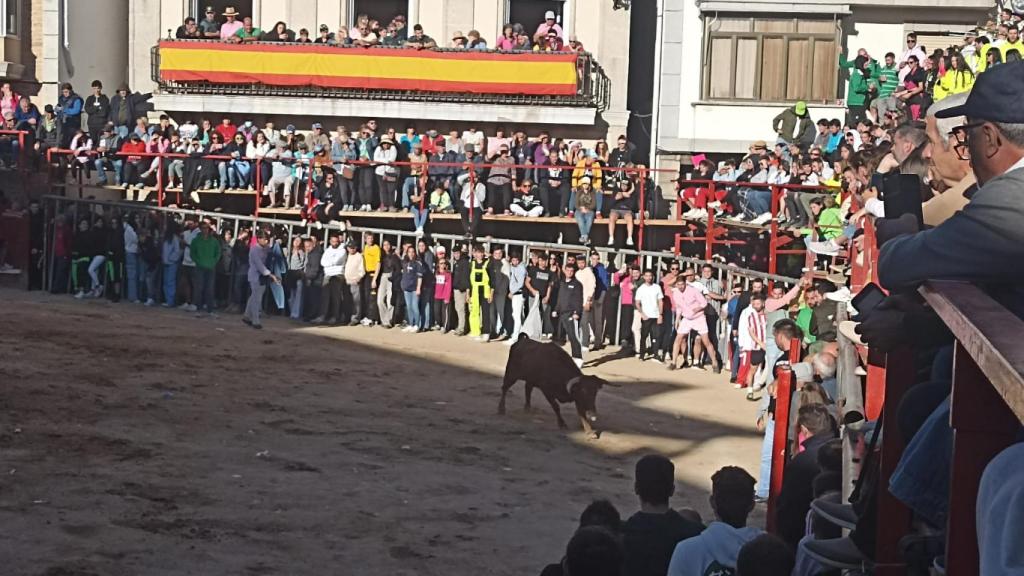 La vaquilla divierte al respetable
