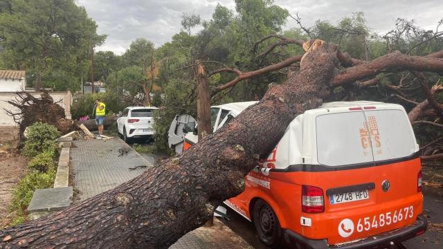 Calvià tras las primeras horas del temporal