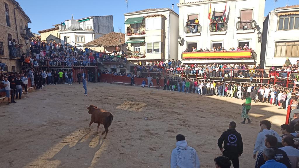 Limpio y rápido encierro de domingo en Aldeadávila de la Ribera