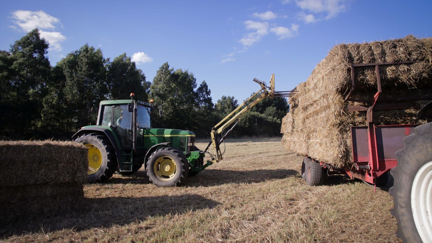 Sector agroalimentario