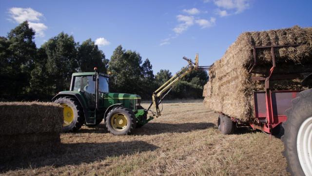 Sector agroalimentario