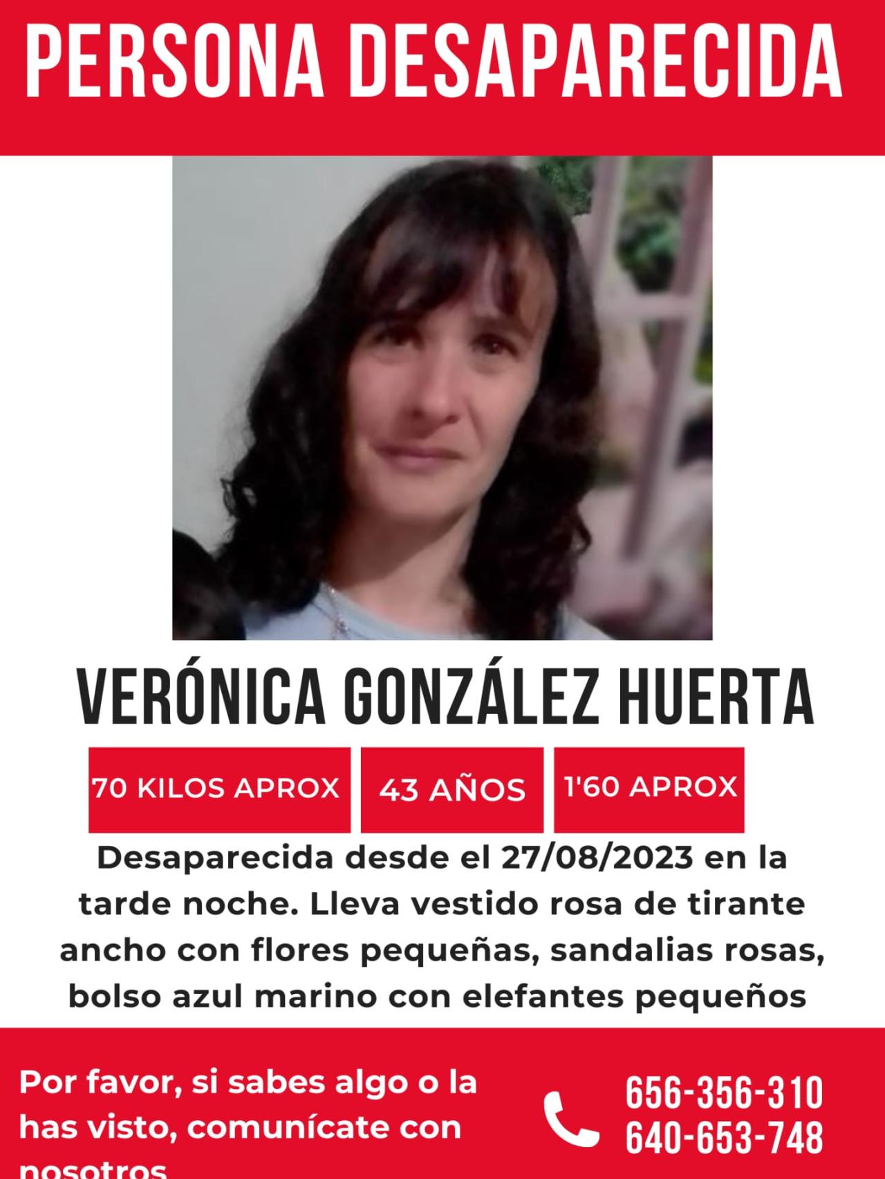 Imagen del cartel difundido por los familiares de la mujer desaparecida.