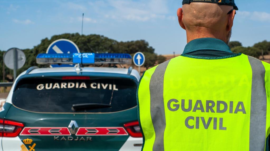 Un accidente de tráfico deja varios toro sueltos en la A-3 a su paso por Buñol