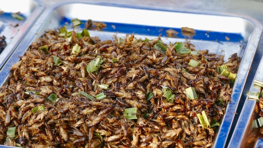 Insectos preparados como alimento.