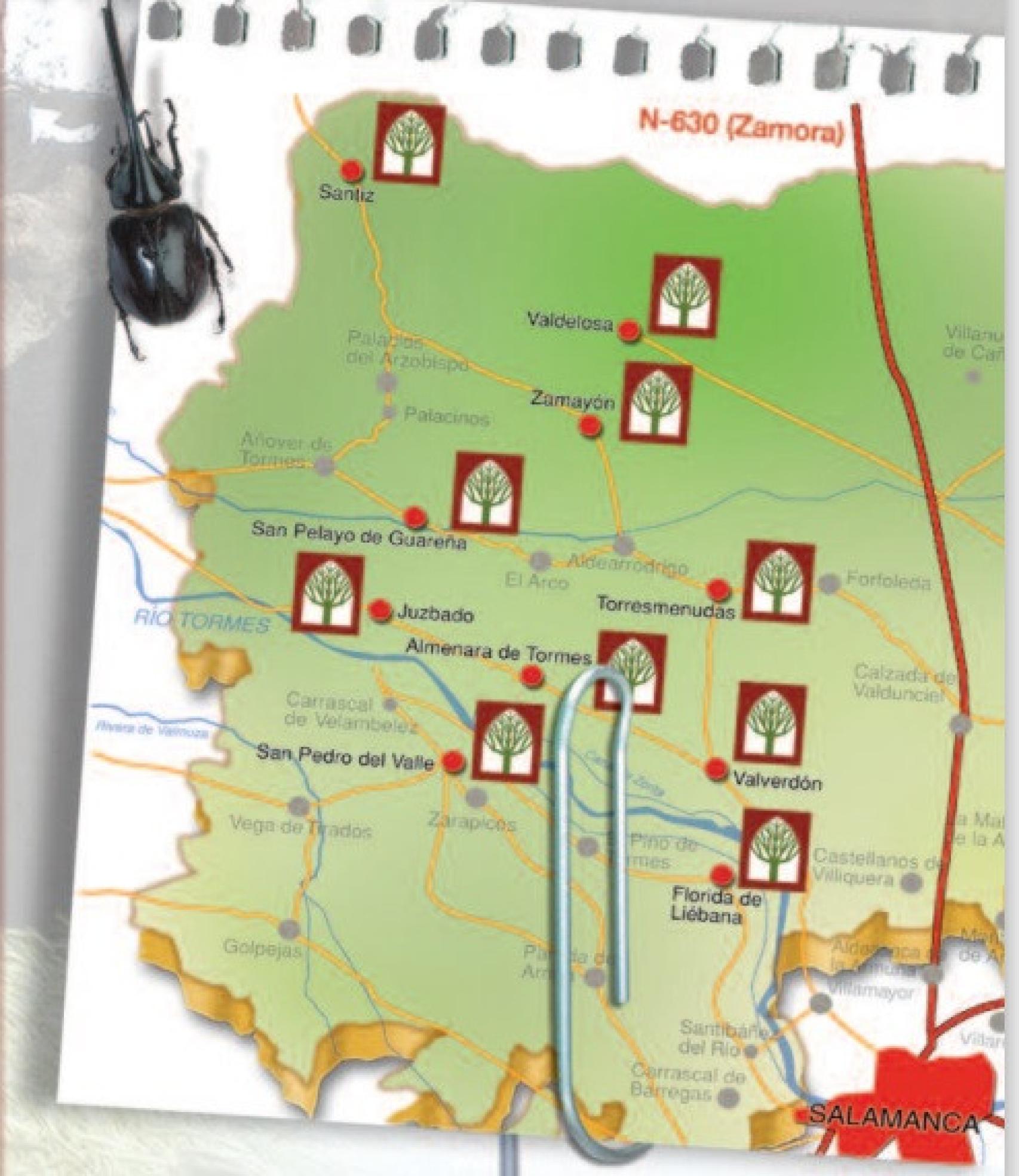 Mapa de las catedrales vivas