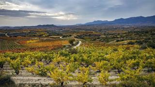 Rioja Alavesa, un paraíso enológico en auge