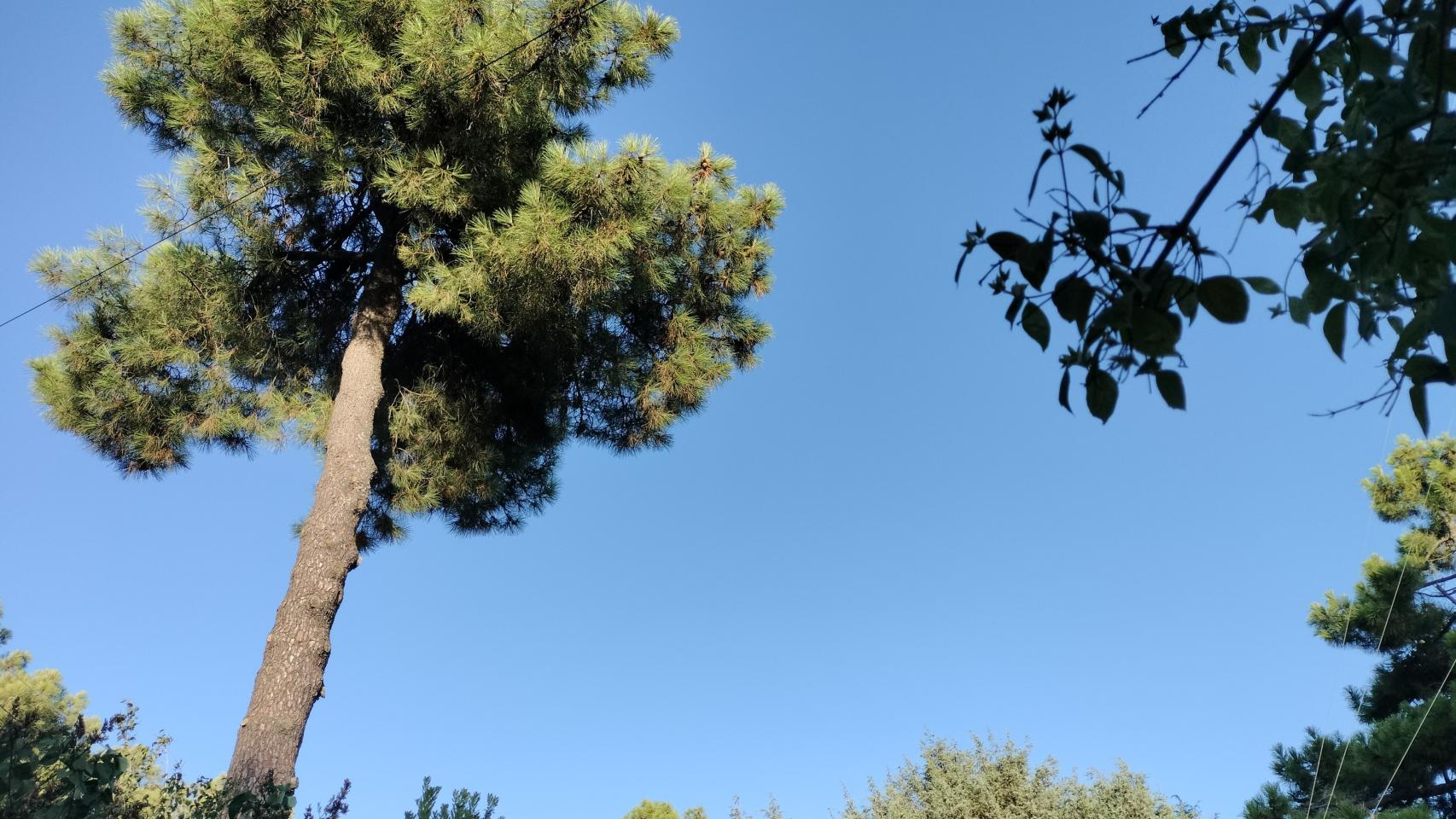 Fotos tomadas con el OPPO A98 5G