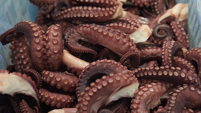 pulpo (se utilizó para un branded)