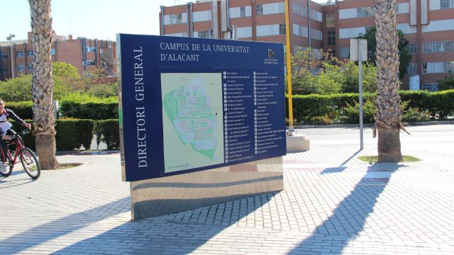 Universidad de Alicante