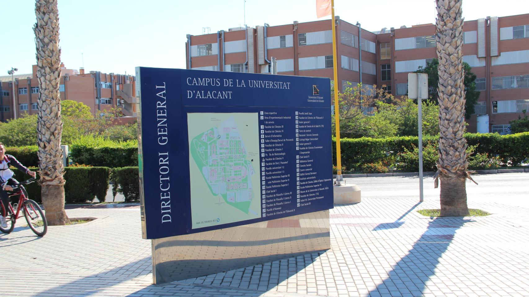 Universidad de Alicante