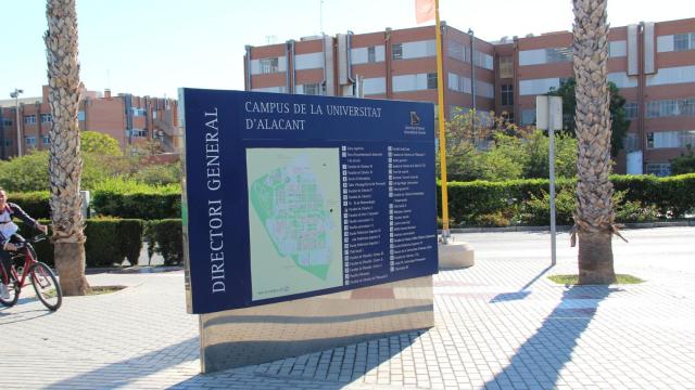 Universidad de Alicante