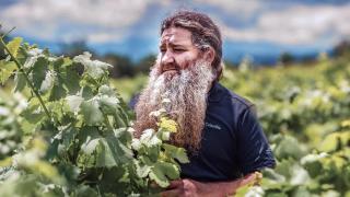 Raúl Pérez, enólogo berciano