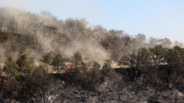 Un camión de bomberos en uno de los caminos del Parque Nacional de Dadia