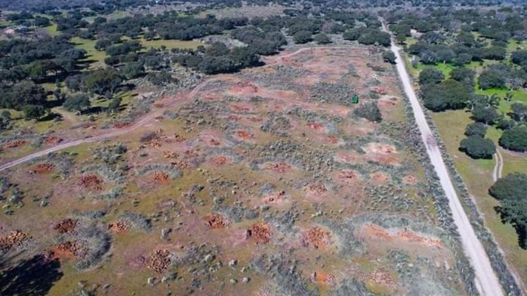 Vista aérea de las encimas taladas por Berkeley Minera para 'limpiar' el terreno de extracción