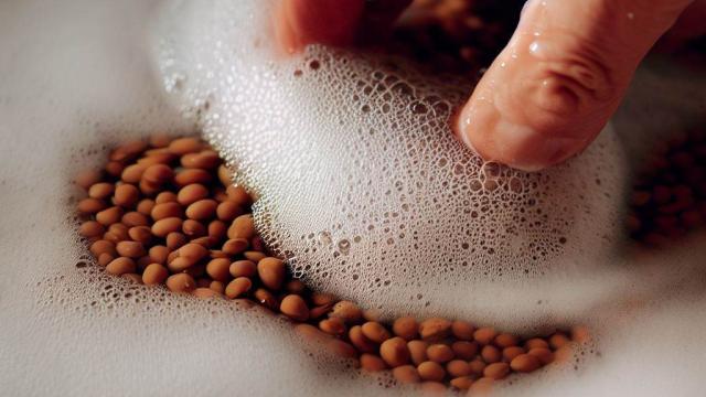 Qué es la espuma que se forma en las legumbres al remojarse (y por qué es mejor quitarla).