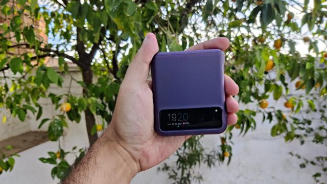 El Motorola Razr 40 plegado cabe cómodamente en la mano