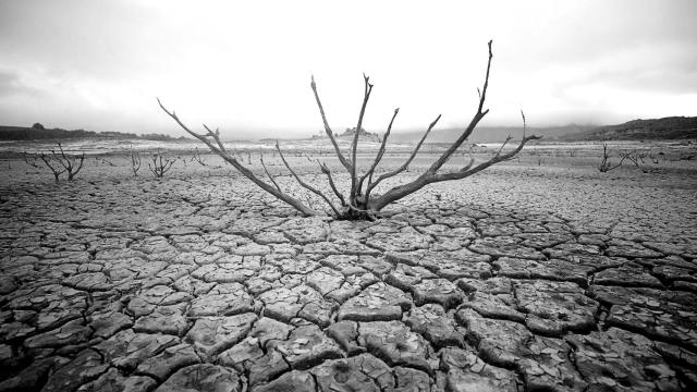 Científicos contra la religión climática