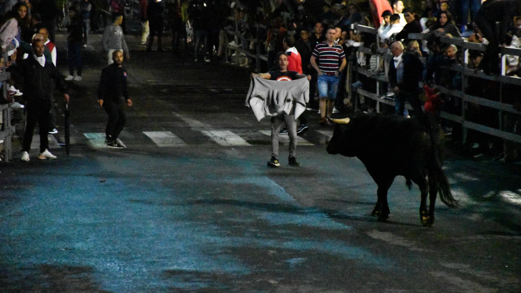 Primer encierro urbano de las Fiestas de San Antolín 2023 en Medina del Campo