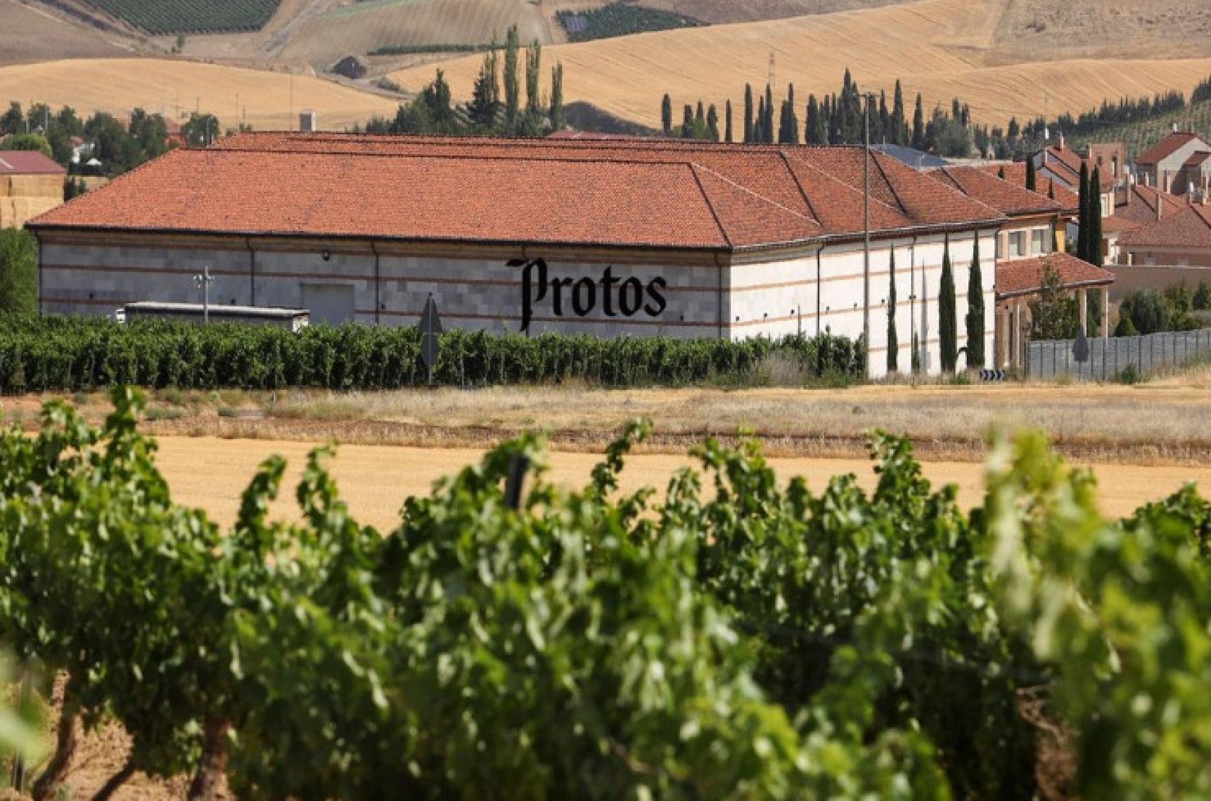 Bodegas Protos