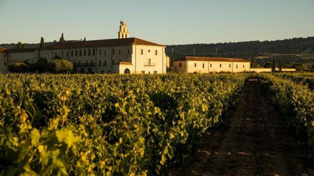 Viñedos de las bodegas Abadía Retuerta