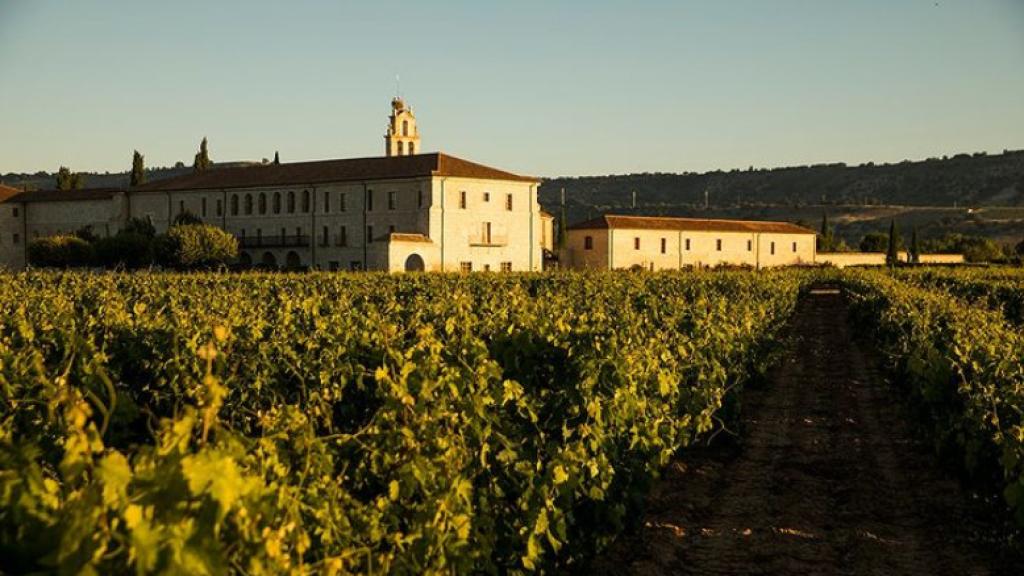 Viñedos de las bodegas Abadía Retuerta