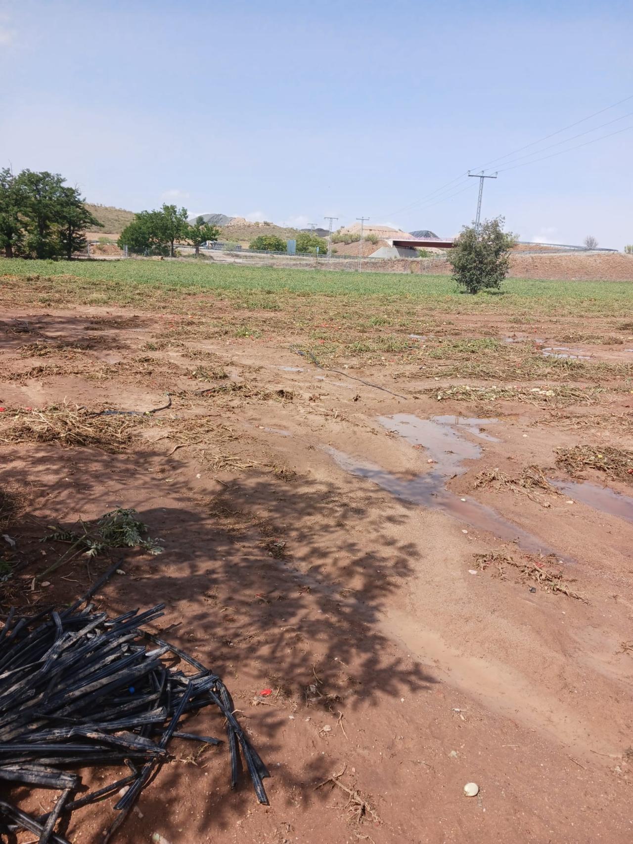 Zona en la que Javier cultiva sus tomates