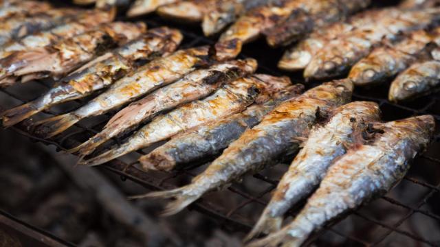 Omega 3: beneficios, propiedades y alimentos que lo contienen.