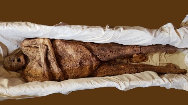 Restos de la reina doña Urraca, esposa del rey García Ramírez de Navarra. Foto:  Antonio Rubio (Diócesis de Palencia / Efe)