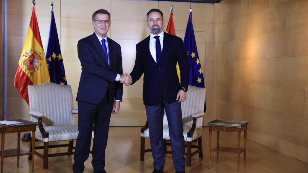 Alberto Núñez Feijóo y Santiago Abascal este martes reunidos en el Congreso.