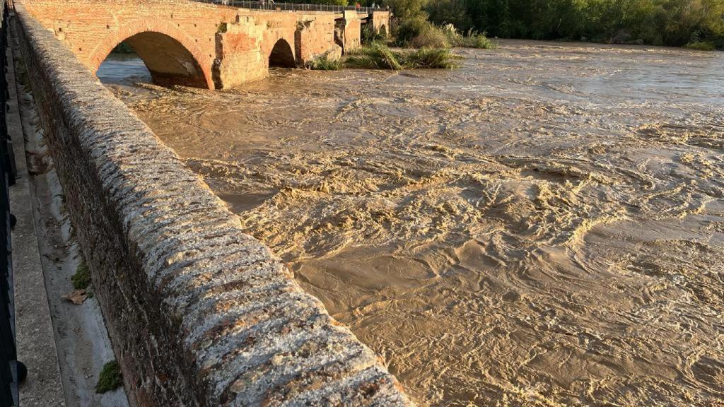 Río Tajo a su paso por Talavera. Foto: Eusebio Cedena.