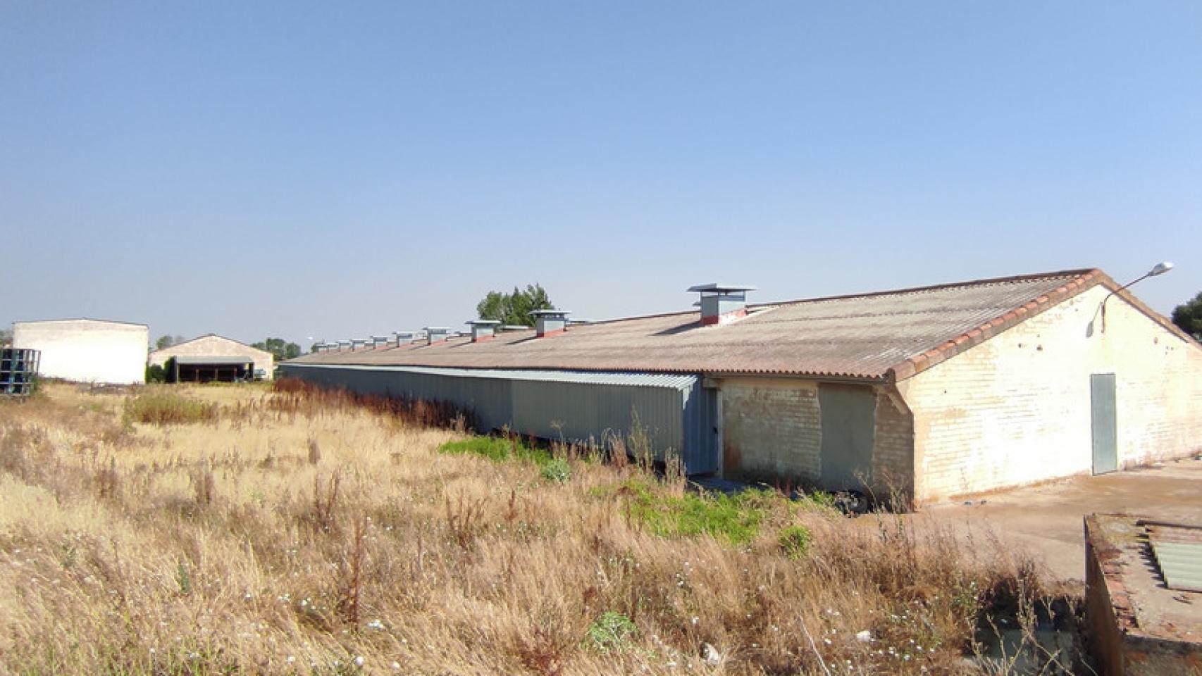 Granja subastada en Amusco