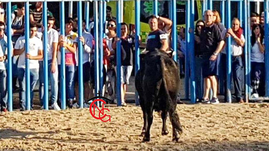 Un festejo taurino en Boecillo