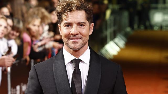 David Bisbal en el photocall de la premiere de 'Bisbal'.