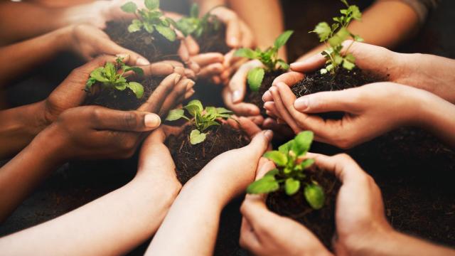 Imagen de archivo de mujeres. Foto: iStock.