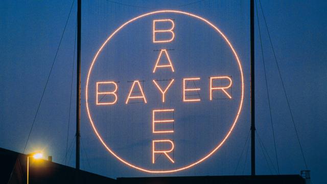 Bayer.