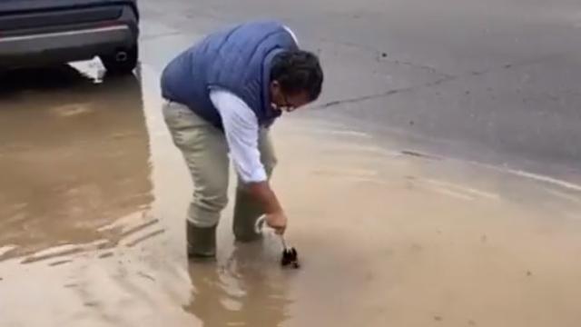 El alcalde de Boadilla del Monte, Javier Úbeda Liébana, tratando de desatascar la alcantarilla.