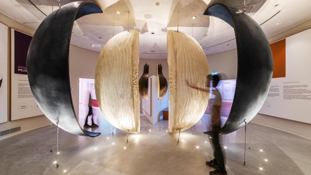 Museo del Vino WOW Porto