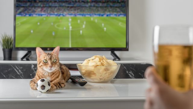 Hamburguesas, pizzas y pokes, esta es la comida a domicilio que más pide la gente para ver el fútbol