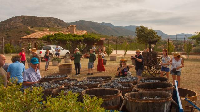 Hay una vendimia para cada enoturista