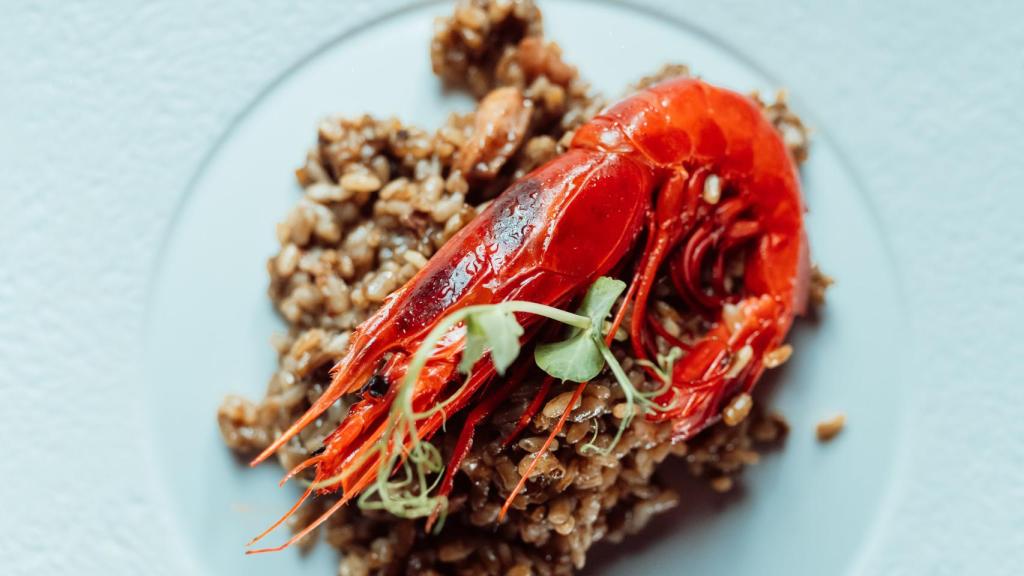Uno de los arroces que bordan en Lajar De Bello