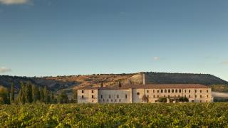 N-122 la carretera vallisoletana que agrupa tres estrellas Michelin y bodegas de renombre