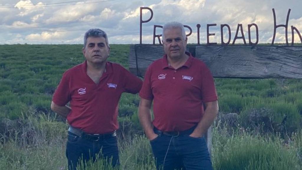 De izquierda a derecha: Ángel y Javier Corral en su plantación en La Alcarría (Guadalajara).