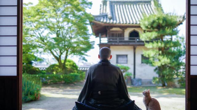 Una foto de un monje japonés haciendo zazen. Foto: iStock.