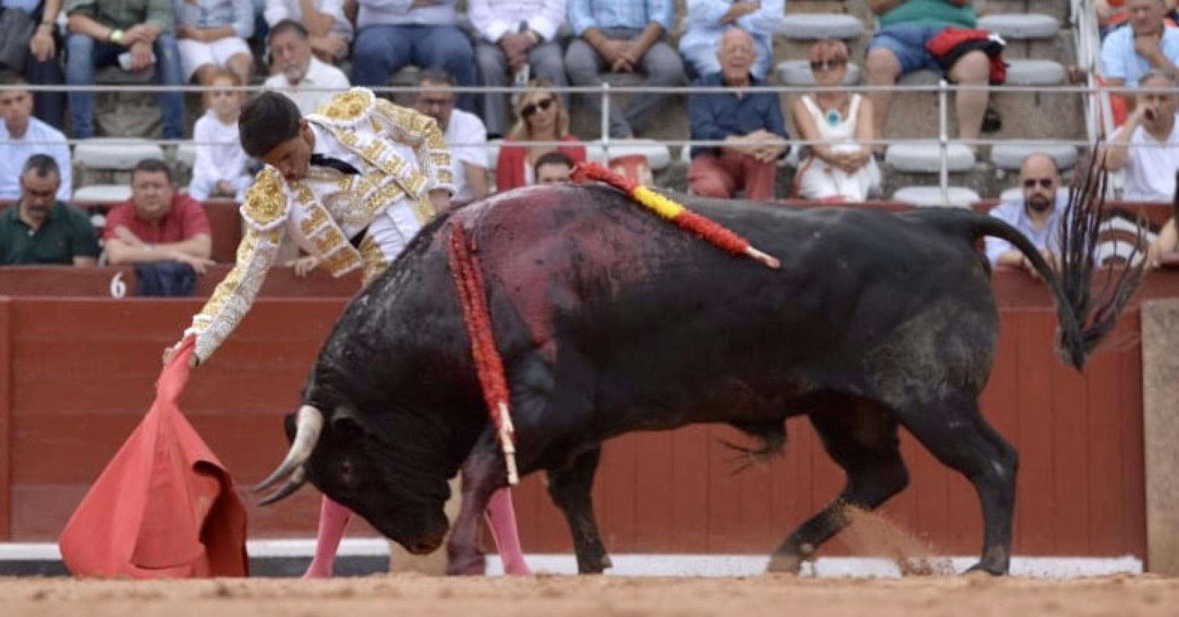 Muletazo largo de Manuel Diosleguarde