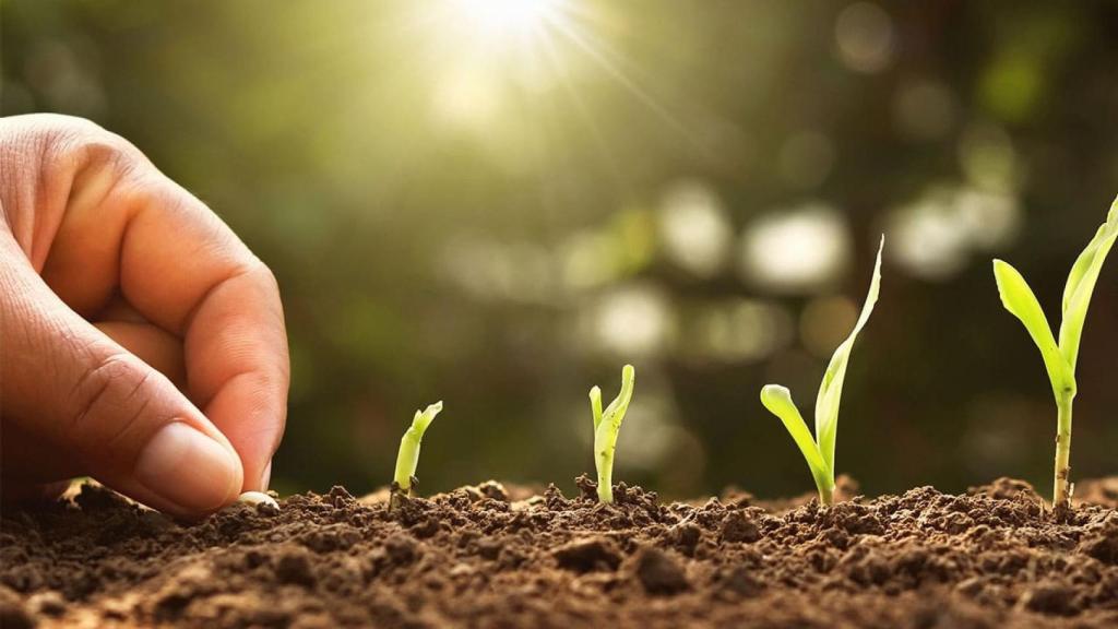 Agricultura regenerativa