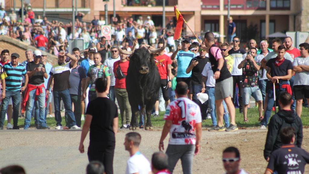 Mirabajo durante el Toro de la Vega