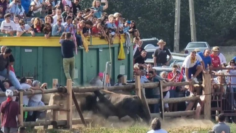 El Toro de la Vega 2023 se escapa en Tordesillas