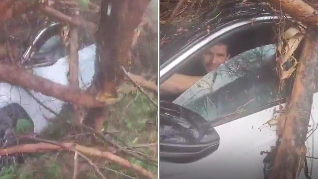 Capturas del vídeo que se ha hecho viral.