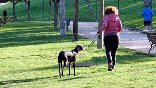 Una mujer paseando con su perro.